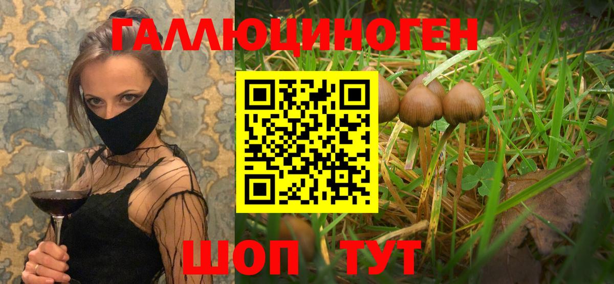 Екатеринбург  Псилоцибиновые грибы мухоморы  Вход с VPN  Псилоцибиновые грибы GOLDEN TEACHER 